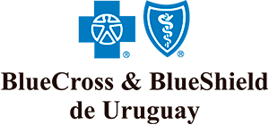 Logo BlueCross azul con dos isotipos